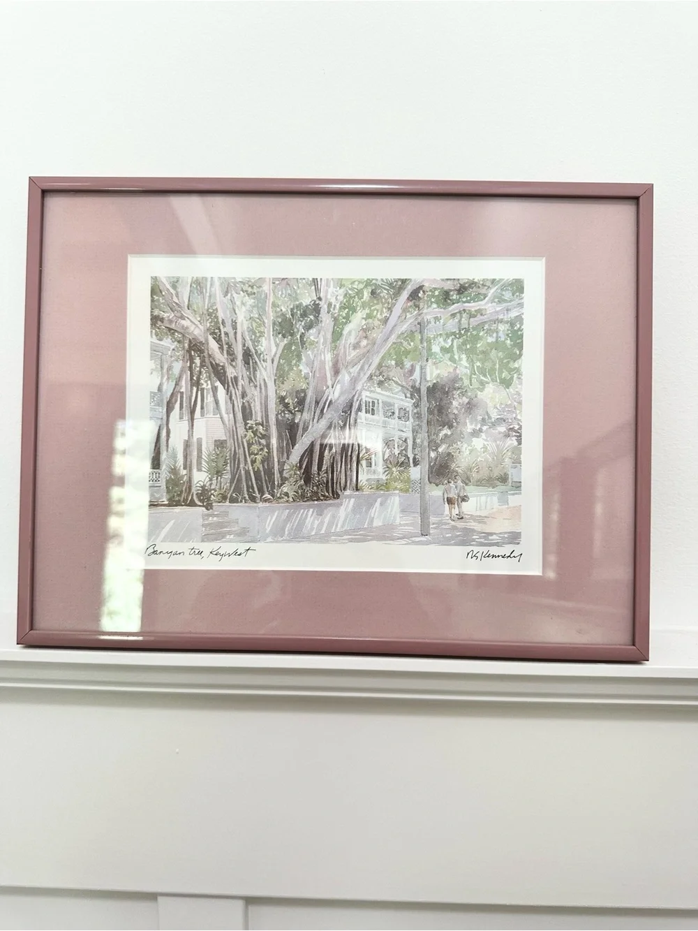 Pink Framed Mat Botanical Wall Art Robert E. Kennedy Iconic Banyan Tree Key West